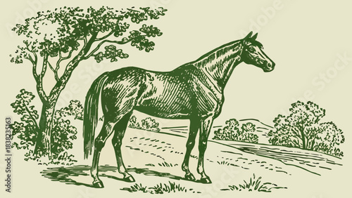 An elegant horse stands majestically in a lush green landscape, surrounded by trees and gentle hills.