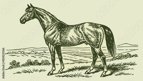 A detailed illustration of a horse standing gracefully in a serene landscape.