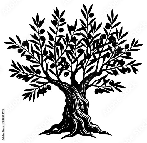 A black and white silhouette of an olive tree with leaves and fruits, black, illustration, olive, olive tree, profile, tree, against transparent background