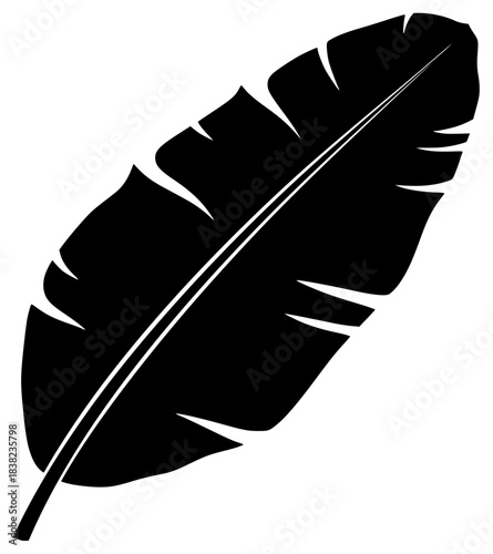 A black and white silhouette of a feather, black, feather, flat, icon, illustration, leaf, profile, style, white, against transparent background