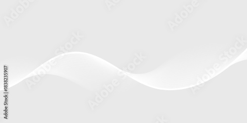 white wavy background. Elegant abstract vector background with smooth white wave lines on a light gray gradient.