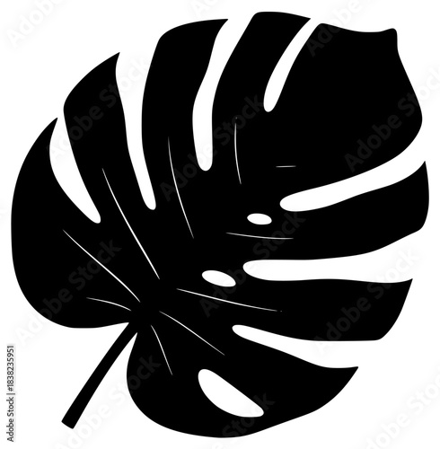 A black and white silhouette of a monstera leaf, black, icon, illustration, leaf, plant, profile, tropic, white, against transparent background