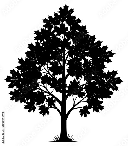 A black and white silhouette of a tree with large leaves, black, illustration, maple, maple leaf, profile, tree, against transparent background
