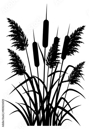 A black and white silhouette of reeds with cattails, black, blade, grass, illustration, plant, profile, reed, stem, weed, against transparent background