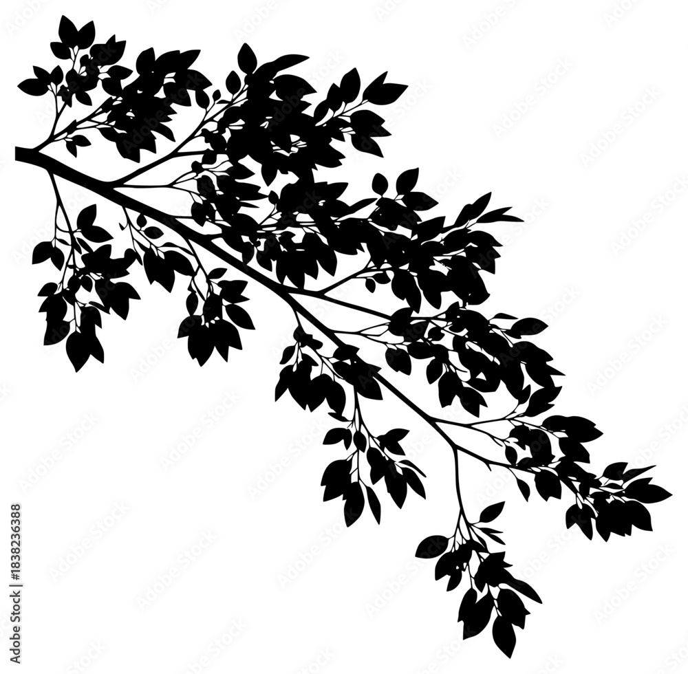 Obraz premium A branch with leaves silhouetted against a , black, branch, profile, tree, tree branch, twig, white, against transparent background