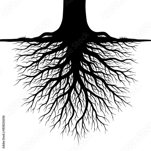 A black and white silhouette of a tree with its roots exposed, floor, illustration, profile, root, tree, tree root, against transparent background