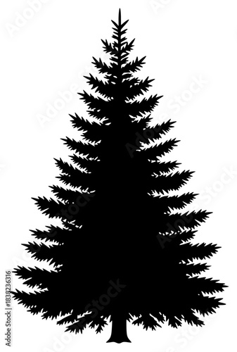 A black and white silhouette of a tall pine tree, black, christmas tree, fir tree, illustration, pine, profile, spruce, tree, against transparent background