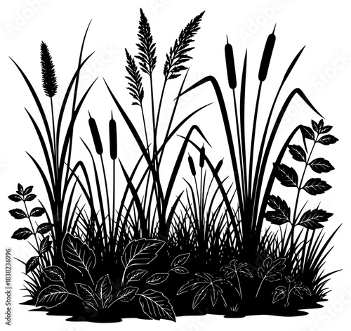 A black and white silhouette of various plants with leaves and reeds, black, blade, brush, flower, grass, illustration, plant, profile, reed, swamp, vegetation, weed, against transparent background