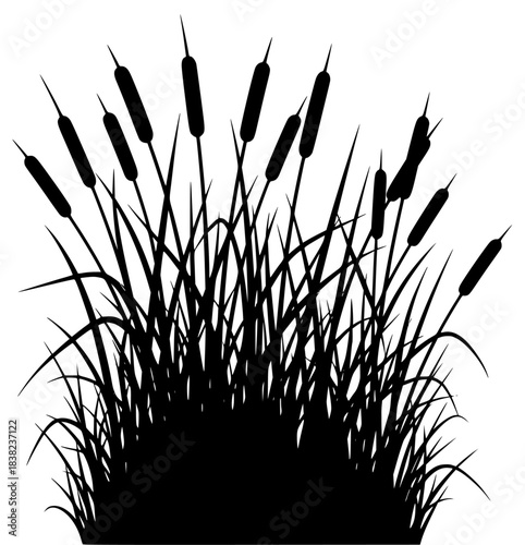 A silhouette of reeds with cattails on a , black, blade, brush, grass, illustration, plant, profile, reed, swamp, weed, against transparent background