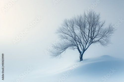 tree in snow