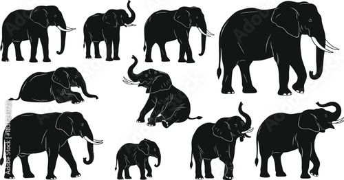 African and Asian Elephants Silhouette Vector Set: Black Wildlife Animal Illustrations with Trunks Up and Down in Various Poses.