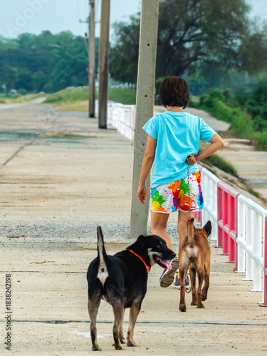 Asian woman walking together with her pet along path in park. Sports woman walking for exercise with dog outside in park. Cheerful woman walking and running with her dog on sidewalk. Active leisure.