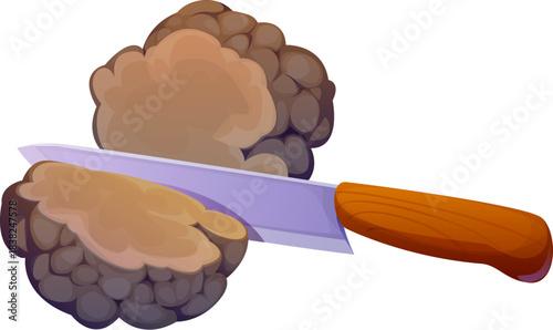 Cutting truffle mushroom with kitchen knife in cooking process. Vector fresh organic fungus plant, food ingredient for gourmet cuisine with earthy texture and sliced pieces during culinary preparation