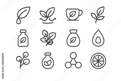 Collection of natural ingredient and organic product line icons