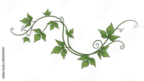 Elegant Vine Flourish: A graceful vine, adorned with vibrant green leaves and delicate tendrils, gracefully dances across the canvas, embodying nature's artistry and intricate design.