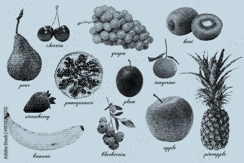 Vintage vector set of fruit and berry illustrations on a blue background. Bitmap art.