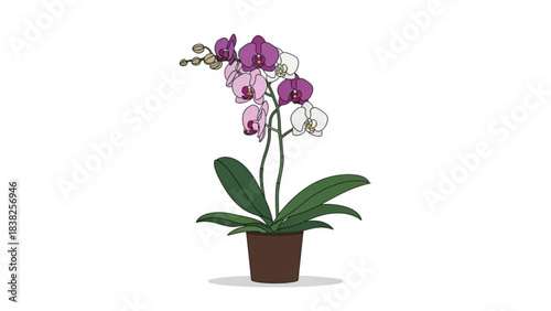 Orchid in Bloom: An elegant orchid, showcasing a spectrum of colors, blossoms gracefully from its pot, signifying delicate beauty and serenity.