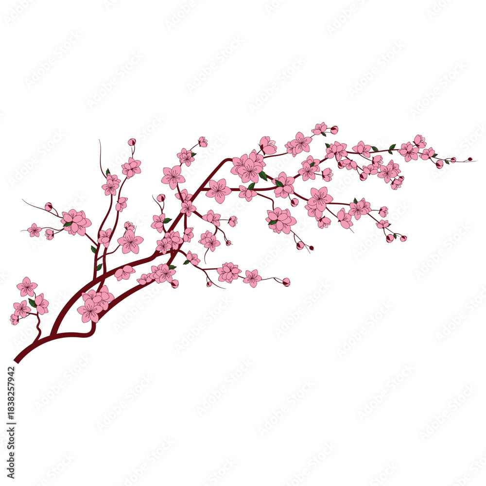 Fototapeta premium A beautiful illustration of a cherry blossom branch with delicate pink flowers