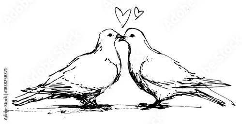 Two romantic doves kissing with hearts above representing love and peace sketch style vector illustration