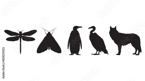 Wildlife Silhouettes in Minimalist Style with Black Color on White Background for Vector Illustration