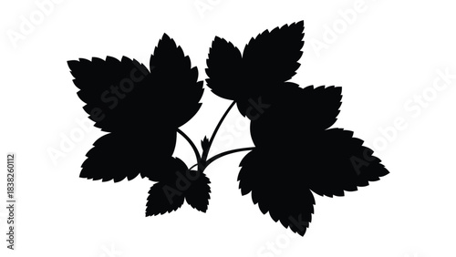 Black Silhouette Of A Branch With Leaves leaves, foliage, plant, nature, botanical