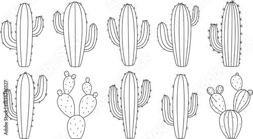 Cactus outline illustration collection, desert plant line art featuring various species, botanical doodle graphics for coloring pages, design elements, vector set
