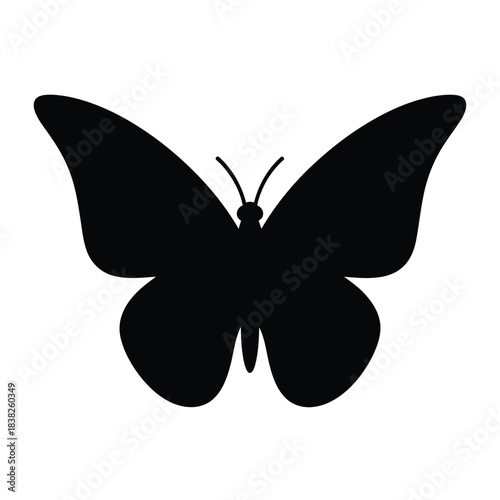 Black silhouette of a butterfly insect wing