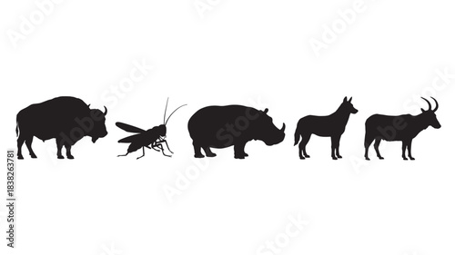 Collection of animal silhouettes including a bison mosquito rhinoceros and antelope isolated on a white background for graphic design