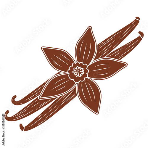 Aromatic Vanilla Bean and Flower Illustration for Culinary and Baking Designs Simple Brown and White Isolated Image