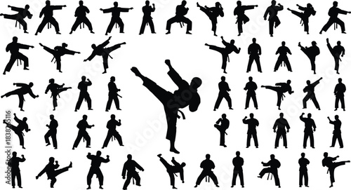 Martial arts silhouette collection, dynamic karate and kickboxing action poses, combat training movements for self-defense, fitness, sport illustration vector set