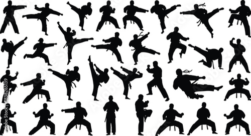 Martial arts silhouette collection, karate and kickboxing action poses, dynamic combat movements for self-defense training, fitness illustrations, sport vector design set
