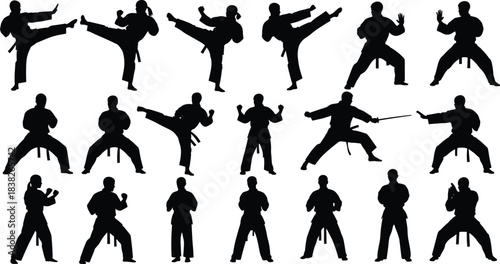 Martial arts silhouette collection, karate poses and kicks, self-defense training stances, dynamic combat movements for posters, branding, vector design set