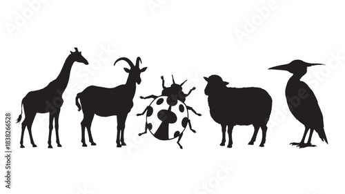 Collection of animal silhouettes including a giraffe goat ladybug sheep and bird presented in a simple flat design for educational or illustrative purposes