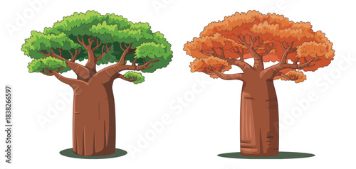 Baobab trees illustration displaying natural seasonal color variation with lush green and vibrant orange leaves, strong wide trunk anatomy, and precise CAD inspired flat vector nature artwork