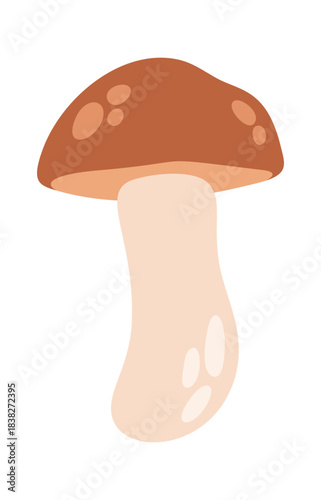 Cute porcini mushroom edible fungi