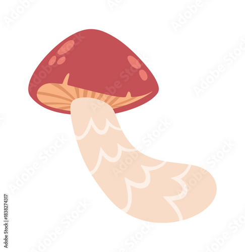 Cute red flywheel forest mushroom