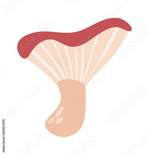 Cute saffron milk cap mushroom