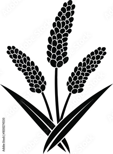 Millet Plant Grain Farm Crop Silhouette Vector