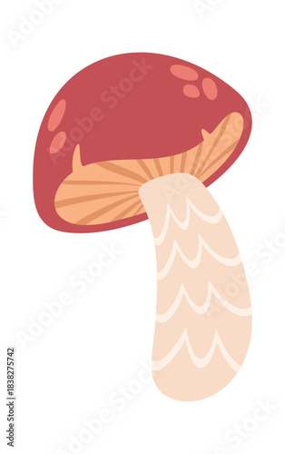 Flywheel mushroom with red cap