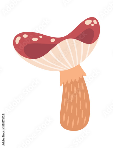 Cute mushroom autumnal fungi element