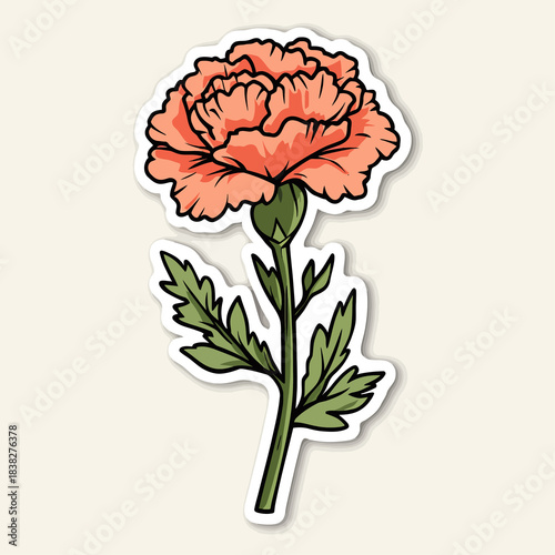  flower Carnation