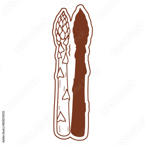 Illustration of Two Asparagus Spears Showing Nutritional Value and Healthy Eating Choices for Dietary Plans