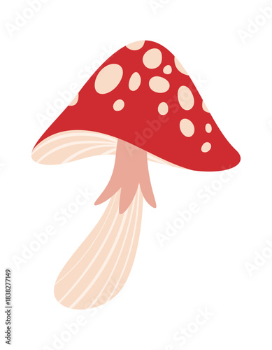 Spotted fly agaric mushroom design