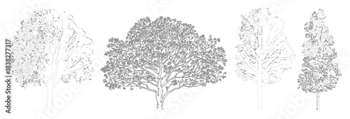 Set of trees in CAD lines for architecture and landscaping models, featuring side and top view tree outlines, vector elements, scalable symbols, and technical planning illustrations