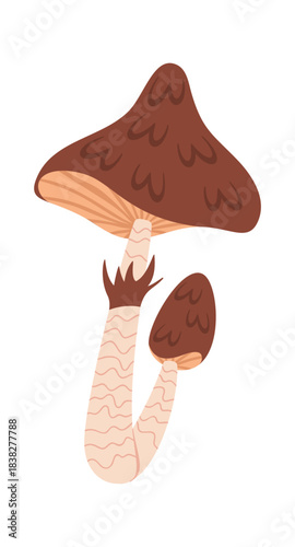 Brown mushroom with pointed cap