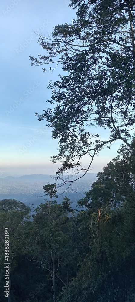 Obraz premium Sunrise over the forest