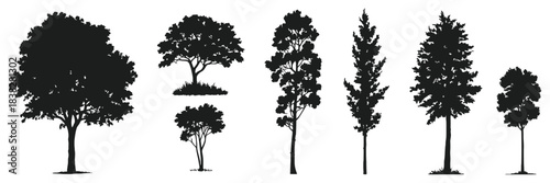 Tree silhouette architecture and landscaping model showing precise side view and top view tree outlines, vector CAD elements for architecture