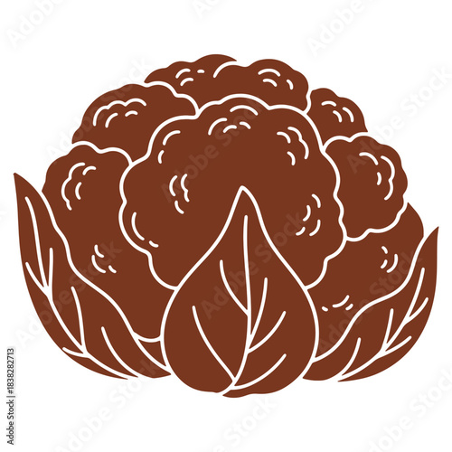 Stylized Cauliflower Illustration in Brown Tones with Detailed Texture and Leafy Surroundings Fresh Vegetable Design