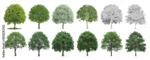 Vector view of trees in hand-drawn top view style, isolated on white, scalable vector illustration for architecture, landscaping, environmental planning, garden design