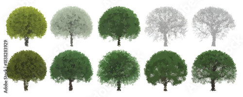 Vector view of trees in hand-drawn top view style, isolated on white, scalable vector illustration for architecture, landscaping, environmental planning, garden design